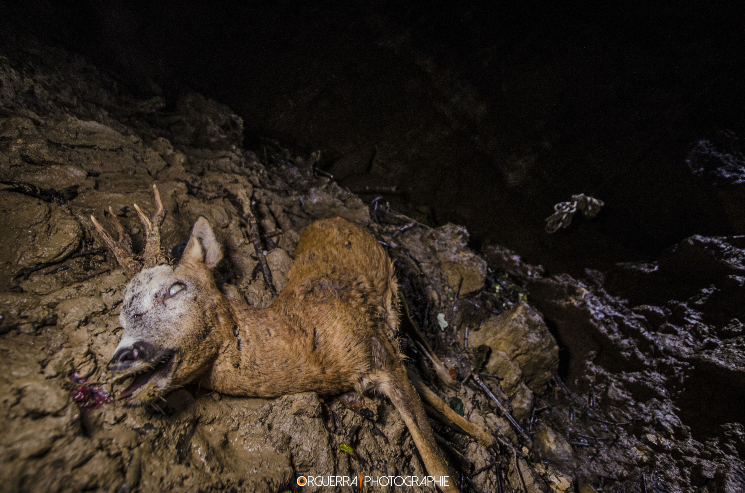 Photographie — descente dans le gouffre AV1