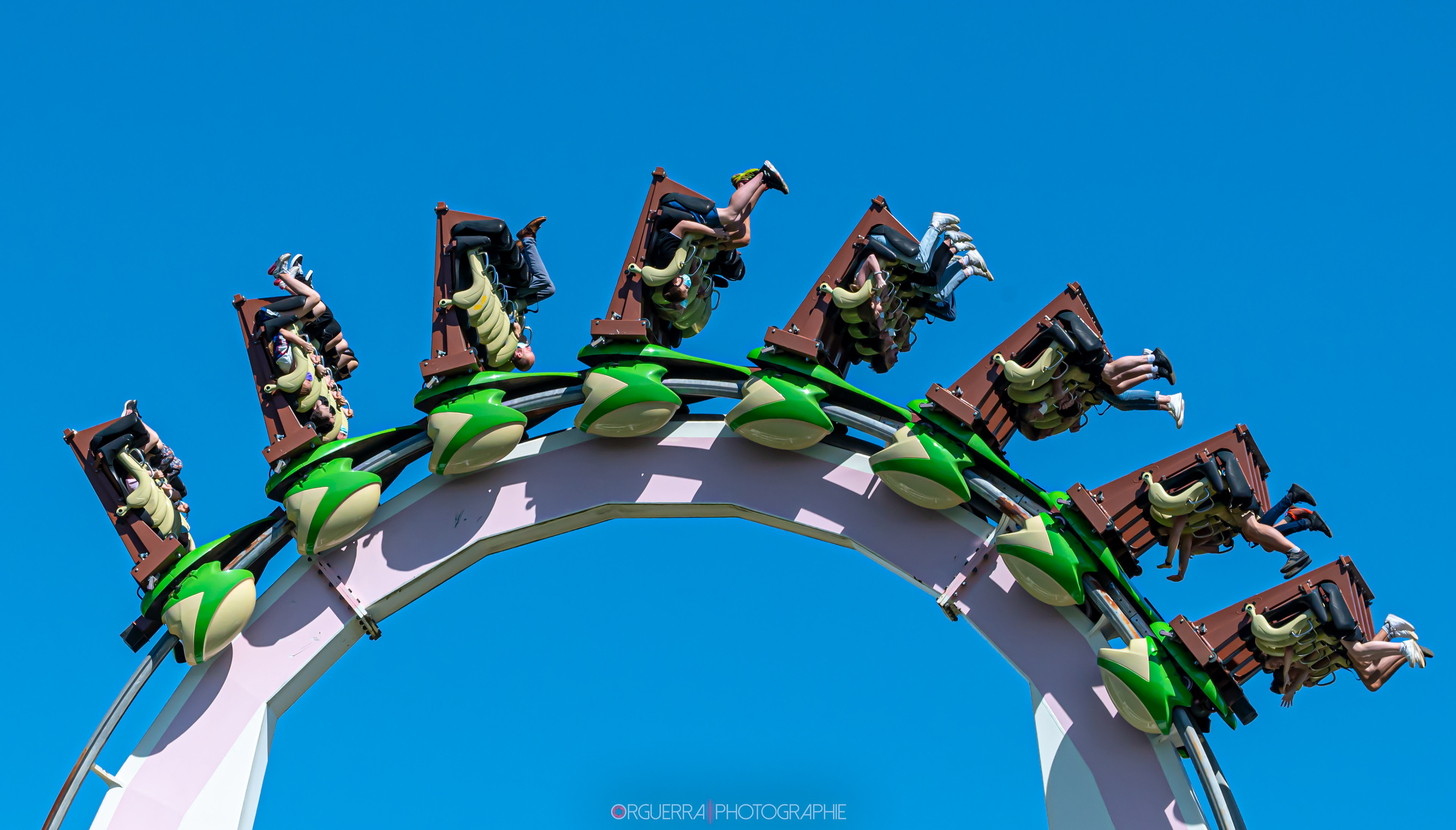 Walygator